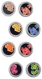 Fiori secchi per nail art unghie