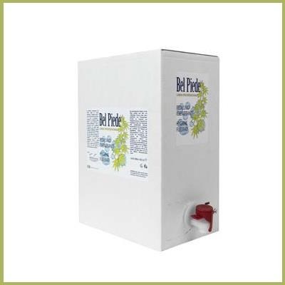 BEL PIEDE liquido per pediluvio igienizzante - 5 litri
