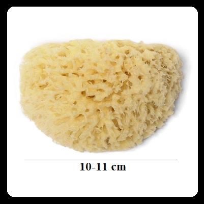 Spugna naturale del Mediterraneo - piccola Spugna naturale del Mediterraneo - piccola