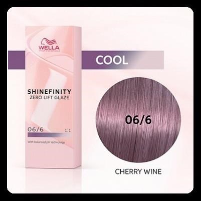 SHINEFINITY colore demi-permanente - 06/6