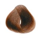 INEBRYA tintura 100 ml - col. 6/00