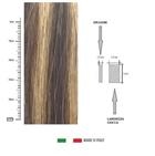 FEMME Keratin Hair Extension lisce - cf 20 pz - col 4/14