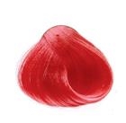 INEBRYA tintura 100 ml - rosso