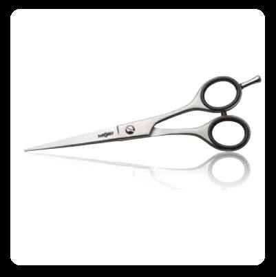 IWASAKY forbice steel - 5,5