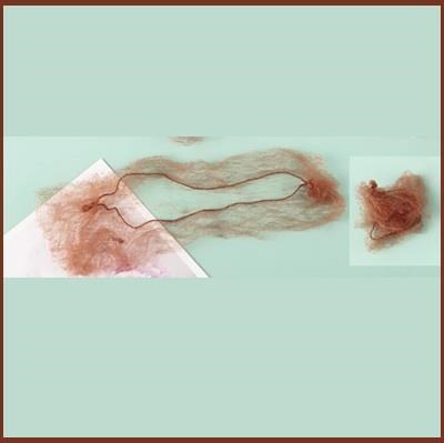 SIBEL retine invisibili cf 2 pz - rame